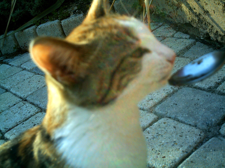 Caramel 09-04 006.jpg